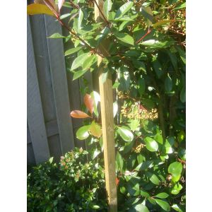Square planter's stick - S3814